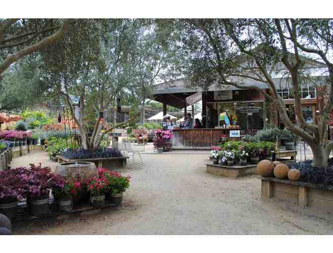 $25 Gift Card to Cottage Gardens of Petaluma