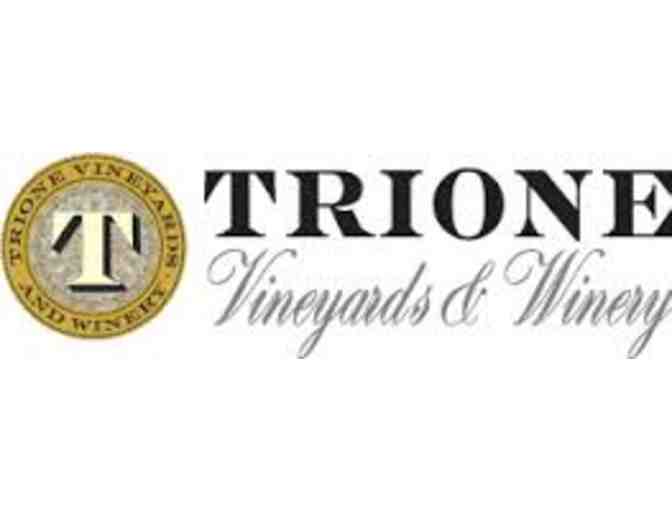 Tour and Tasting for 4 at Trione Vineyards and Winery in Geyserville, CA