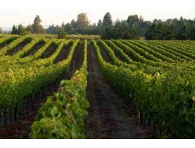 Gluten Free. Dairy Free. Fat Free. I Love the Wine Diet!