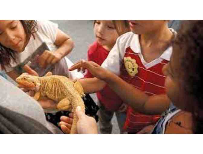 4 Free Admission Passes to Explorit Science Center in Davis