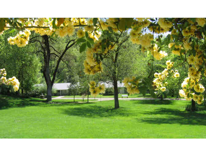 Vichy Springs Resort and Spa - Buy One Night and Get the 2nd Night Free