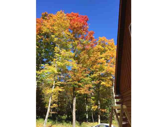 Romantic Getaway Log Cabin - One Week Stay