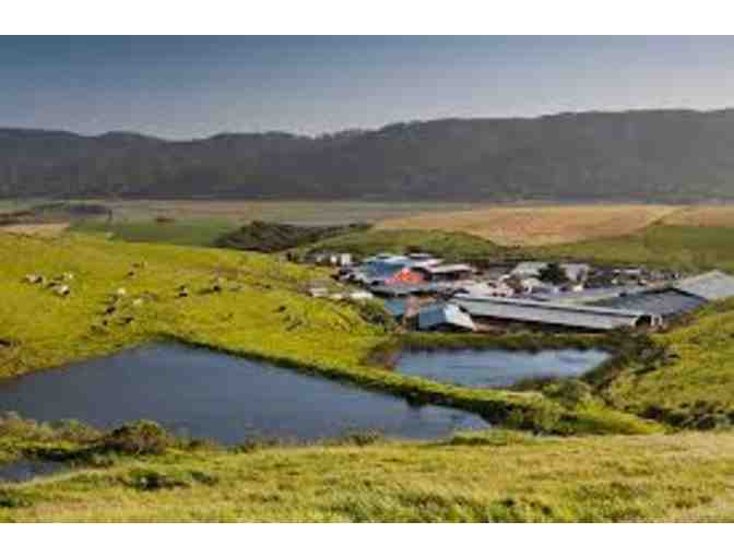 Point Reyes Farmstead Cheese Company - Tour for 4 guests