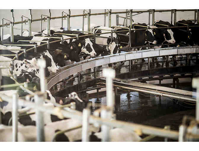 Kreider Farms Farm Tour and Silo Observation Tower Climb