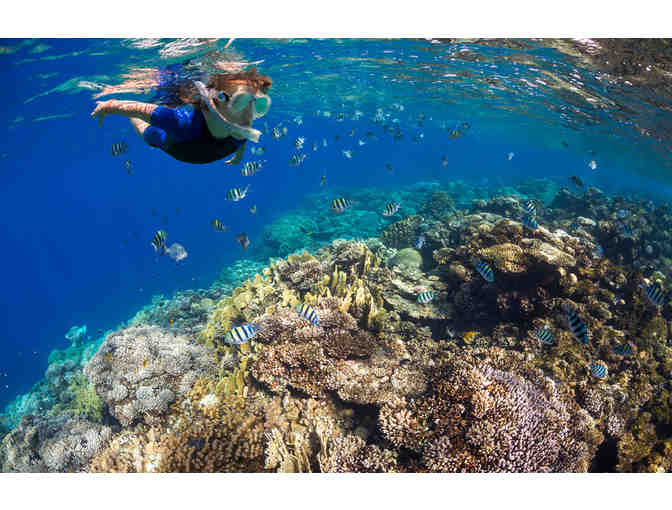 Hawai'i Island 6-Day Package for 2