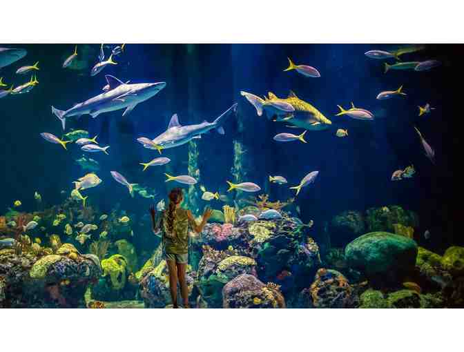 The Tony Orlando Yellow Ribbon Scholarship 30th Anniversary Branson Celebration Vacation