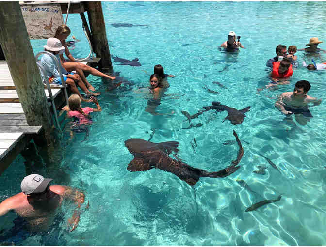 Live Auction - Great Exuma Bahamas Vacation