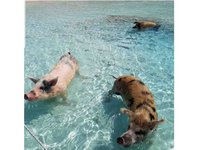 Live Auction - Great Exuma Bahamas Vacation