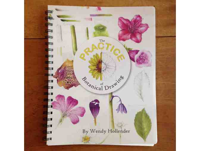 Draw Plants with Wendy Hollender - Bring A Group or Just For You!