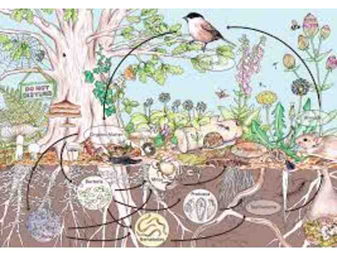 Permaculture Property Analysis with Andrew Faust