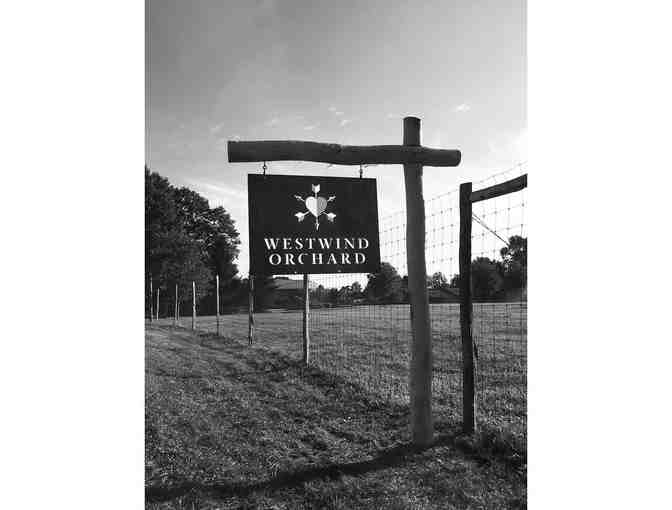 $100 Gift Certificate to Westwind Orchard & Cidery in Accord, NY
