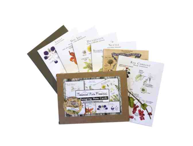 Foraging & Feasting: A Field Guide and Wild Food Cookbook & 6 Plant ID/Recipe Note Cards