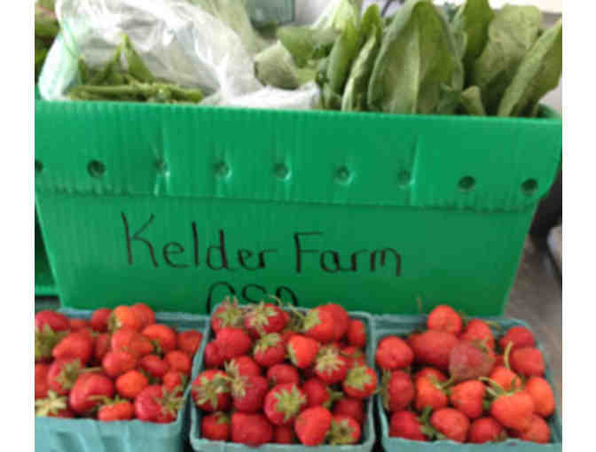 Jumping Pillow Season Pass to Kelder's Farm in Kerhonkson, NY