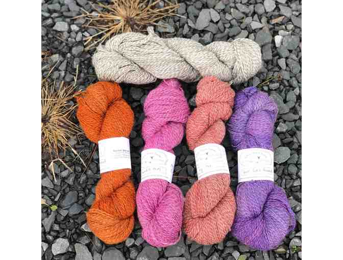 $30 Gift Certificate to White Barn Sheep & Wool in Gardiner, NY