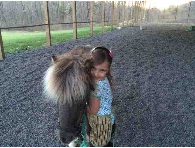 'Horse Connection' Session at Hudson Valley HorsePlay in Kerhonkson, NY