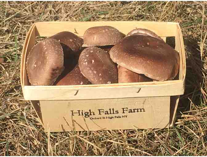 Shiitake & Oyster Log Set + 10% discount on Shiitake CSA Share