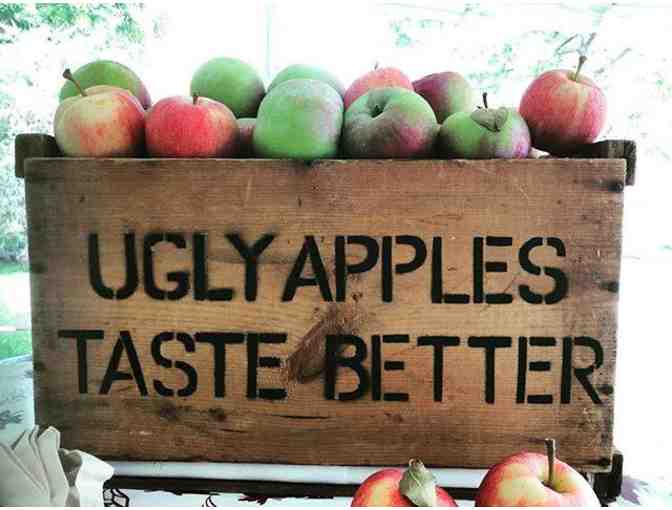 Cider-Tasting & Lunch at the Brooklyn Cider House's Orchard in New Paltz, NY