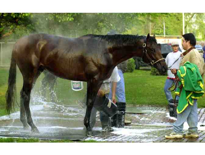 Off to The Races at Churchill Downs with Race Naming Winners Circle Experience 3 Nights