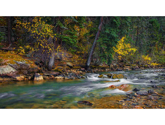 Fly Fishing Guided Adventure in Boulder Colorado, with a 2-Night Hotel Stay for (2)