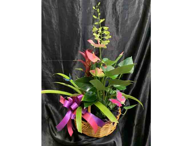 Flowers Forever Florist certificate #2