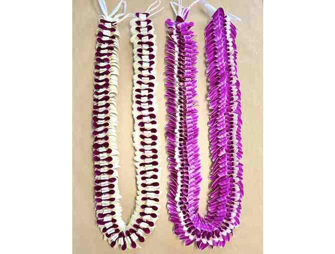 Flowers Forever Florist certificate #2