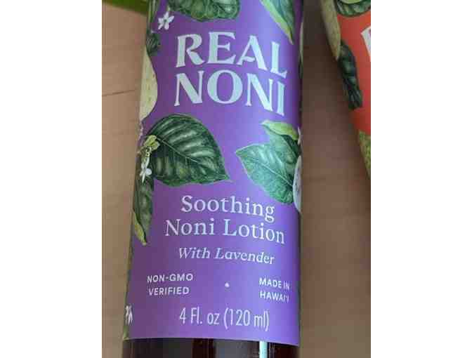 6 Bottles of Noni Lotion