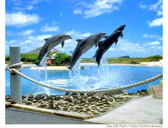 SeaLife Park Hawaii Dolphin Aloha Program for Two Guests