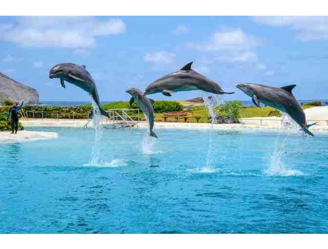 SeaLife Park Hawaii Dolphin Aloha Program for Two Guests