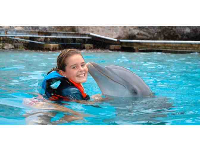 Sealife Park Hawaii Dolphin Aloha Program for Two Guests