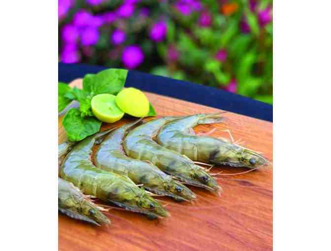 Kauai Shrimp Gift Certificate for 5 lb. 16/20 Shrimp