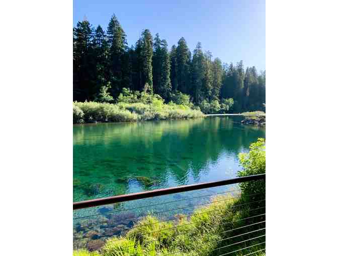 5 Nights Luxury Home by World's Tallest Trees Northern California - 4 Bedrooms, sleeps 8