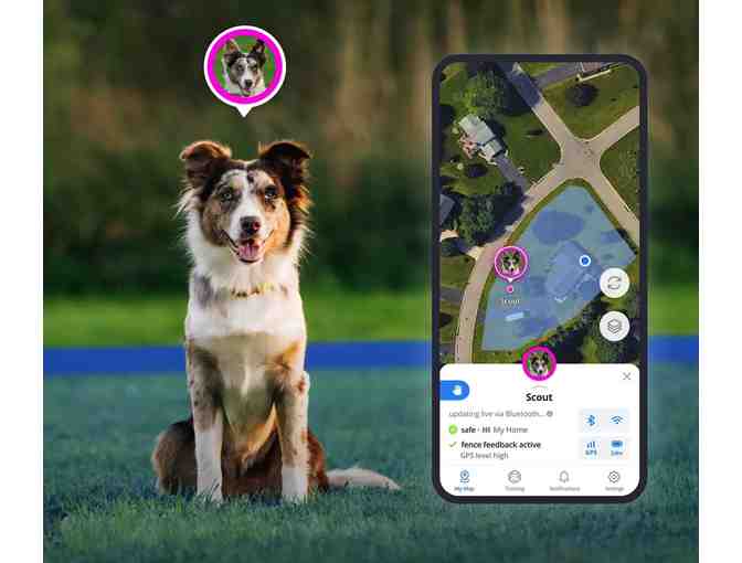 Halo Invisible Dog Fence by Cesar Millan