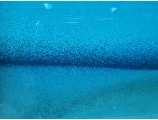 'Exotic Moving Sands #1' Glass Art from Kela's Glass Gallery