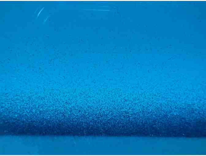 'Exotic Moving Sands #1' Glass Art from Kela's Glass Gallery