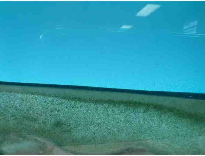 'Exotic Moving Sands #2' Glass Art from Kela's Glass Gallery