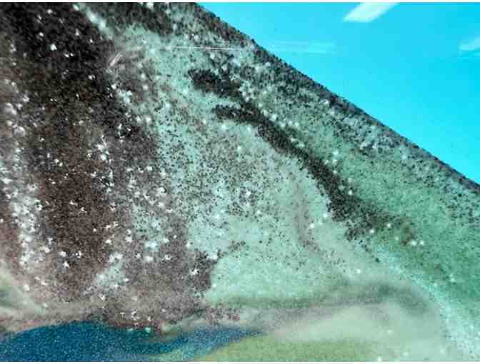 'Exotic Moving Sands #2' Glass Art from Kela's Glass Gallery