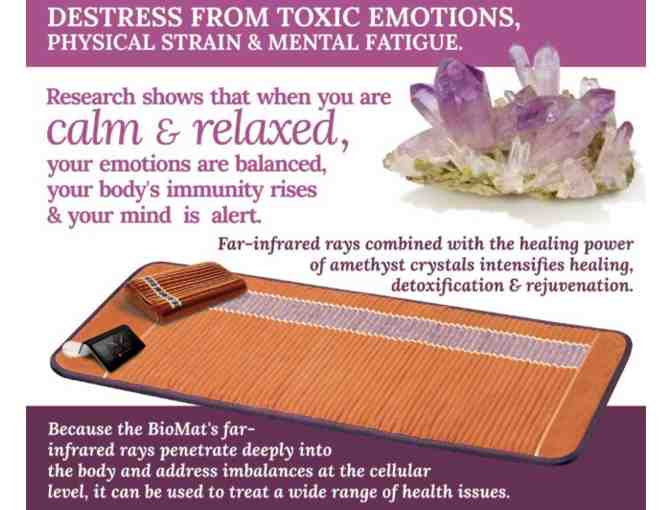 45 min session on BioMat Bed Therapy at the Dolphin Wellness Center