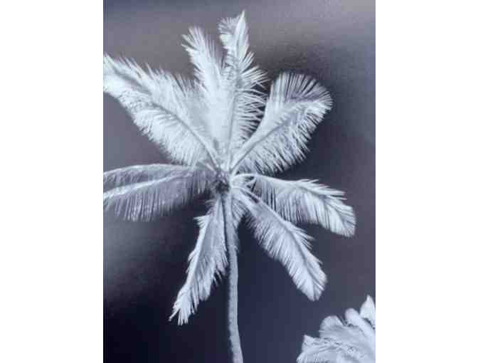 'Graced by the Light', Kikiaola, Kekaha photo by Dr. Lloyd Fujimoto