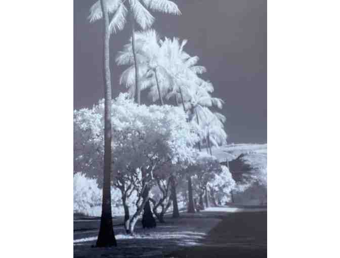 'Graced by the Light', Kikiaola, Kekaha photo by Dr. Lloyd Fujimoto