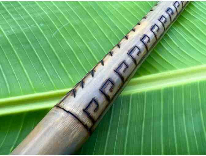 Unique Handmade Walking Stick by Dave Reando