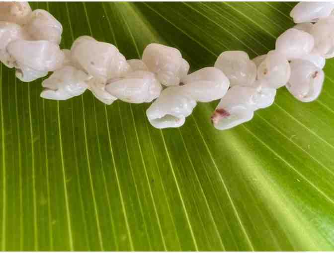 Exquisite Momi Shell Bracelet, Remember Kauai