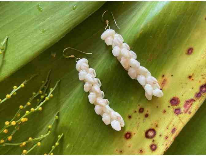 Momi Shell Earrings, Remember Kauai