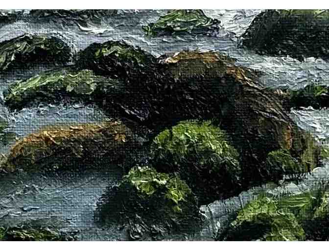 'Low Tide, Na Pali': Original Oil Painting by Local Artist Sandra Ambrose