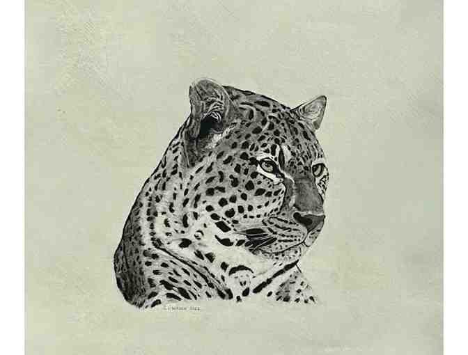 "African Leopord" Original Pen and Charcoal by Steve Jackson, Kauai - Photo 1