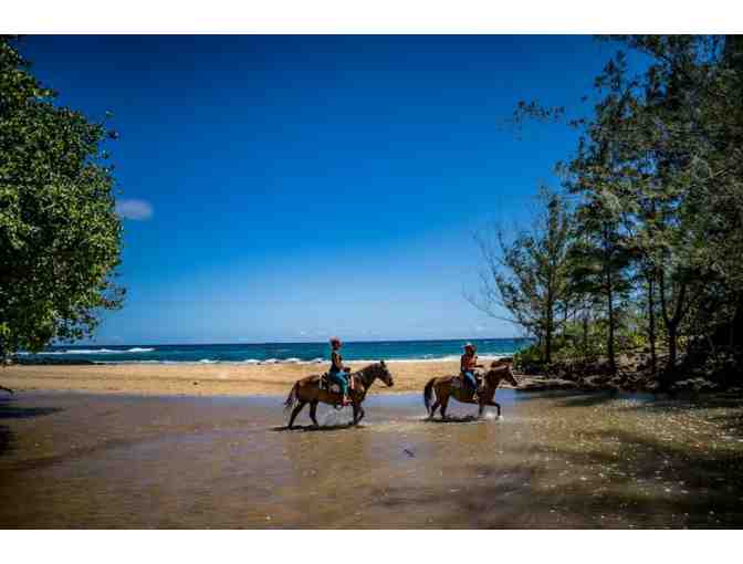 CJM Country Stables - Scenic Ocean, Mountain Valley Ride for Two