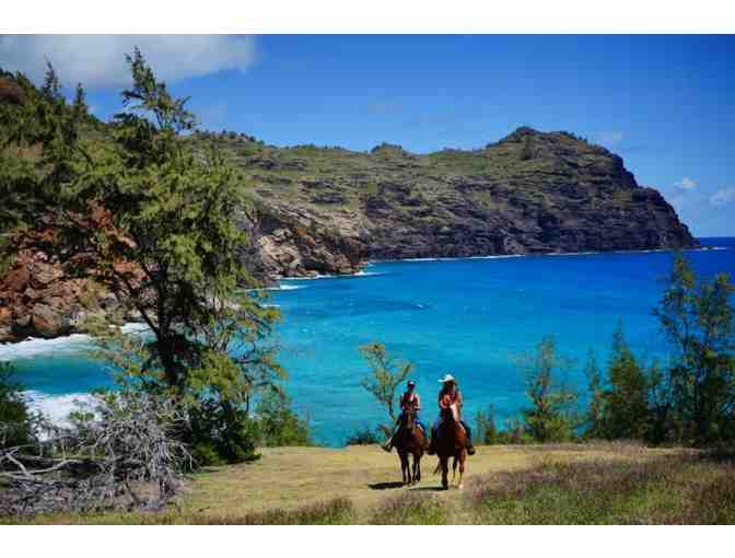 CJM Country Stables - Scenic Ocean, Mountain Valley Ride for Two