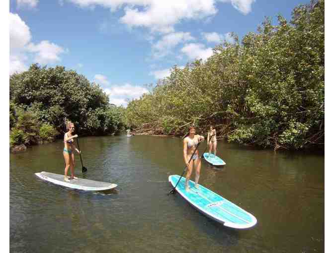 Paddle Boarding for 1 to 4 Hanalei Surf School