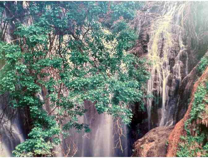 Navajo Falls of Grand Canyon Photo by Peter Scott