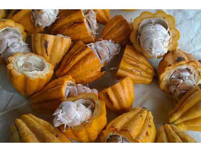 Princeville Botanical Gardens with Chocolate Tour for 2