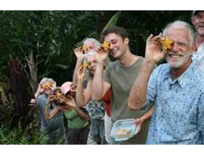 Princeville Botanical Gardens with Chocolate Tour for 2